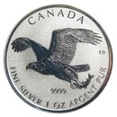 1 Unze Kanada Wildlife II Birds of Prey Seeadler 2017 Reverse Proof eingeschweisst